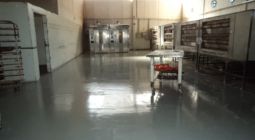 Revestimento Uretano - Pão Napoli