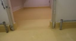 Câmara Fria - Super Frango