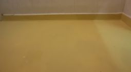 Câmara Fria - Super Frango